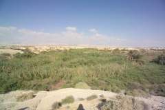 saphsaphas-004